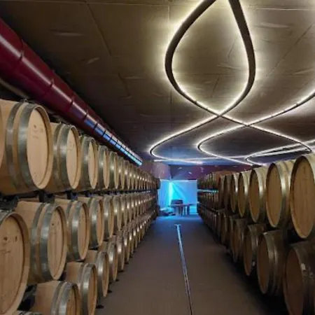 Appartamento [loft Comodo Ed Elegante] • Wi-fi E Colazione Sanluri