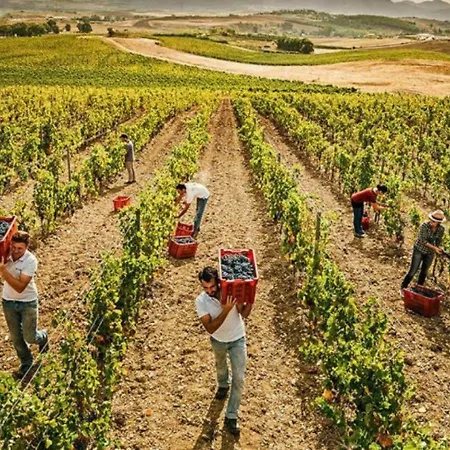 [loft Comodo Ed Elegante] • Wi-fi E Colazione